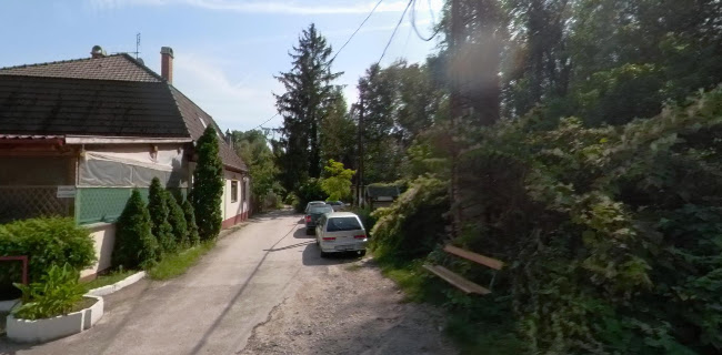 Potykacsárda - Vendéglátás