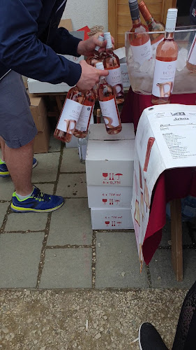 Comentarii opinii despre Etyeki Sajtútállomás