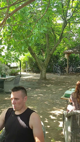 Opinii despre Vánkos Bed and Bistro în Badacsonytomaj - Vendéglátás