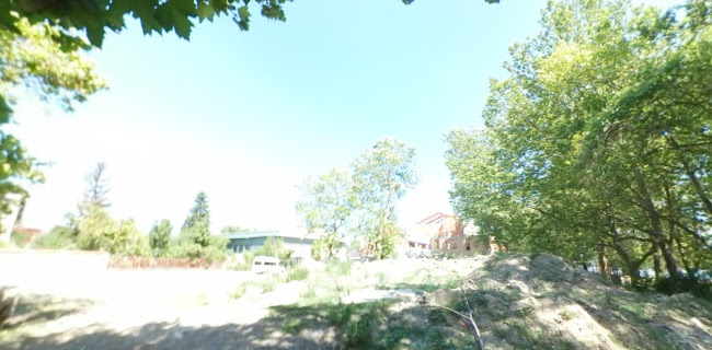 Opinii despre Jégvarázs Fagyizó, lángosozó és palacsintázó în Szob - Vendéglátás