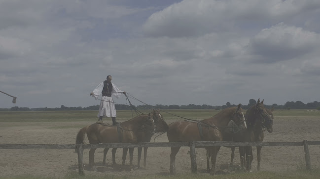Karikás Csárda - Vendéglátás