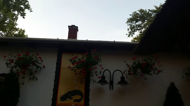 Opinii despre Kiskőrössy Halászcsárda în Szeged - Vendéglátás