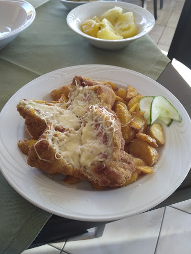 Opinii despre Pannónia Vendéglő és Motel în Solt - Vendéglátás