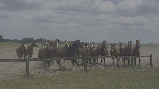 Comentarii opinii despre Karikás Csárda