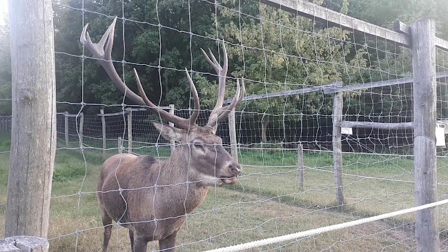 Kaszó Vadászház Üdülő És Sportcentrum