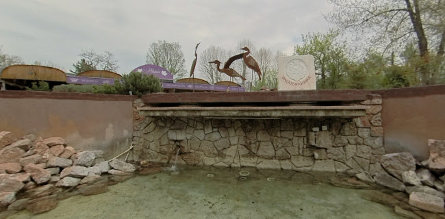 Opinii despre Platán Étterem în Balatonföldvár - Vendéglátás