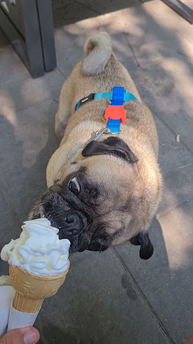 Olivolà - Locale Italiano - Kecskemét