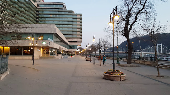 Comentarii opinii despre Il Pastaio