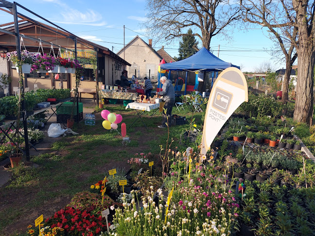 Dunaalmás, Tatai út 62, 2545