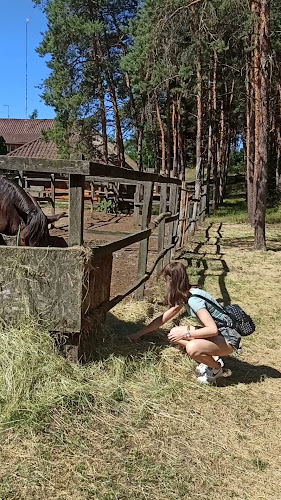 Paripa Csárda - Debrecen