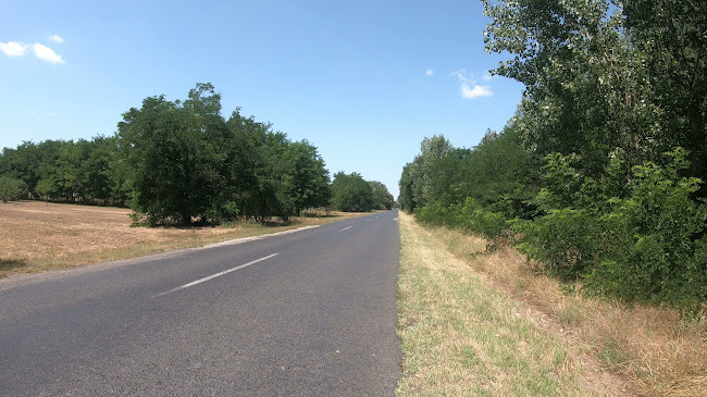Fehèrló Ètterem Ès Rendezvènyház,Fehérló Panzió