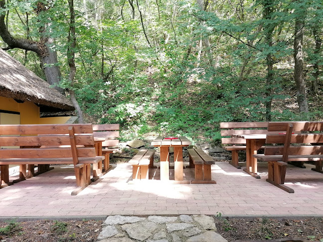 Tihany, Sajkodi sor 1, 8237