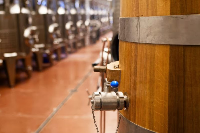 Opinii despre Pántlika Pincészet és Porta Étterem în Dörgicse - Vendéglátás