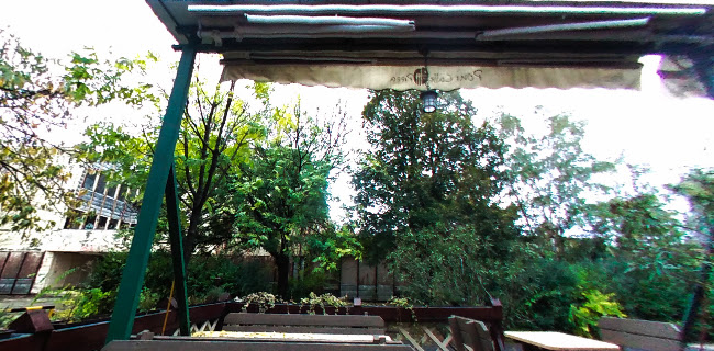 Opinii despre Cavallino în Budapest - Vendéglátás