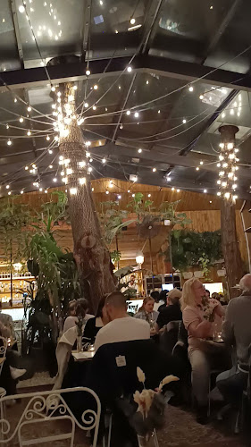 Opinii despre Mazel Tov în Budapest - Vendéglátás