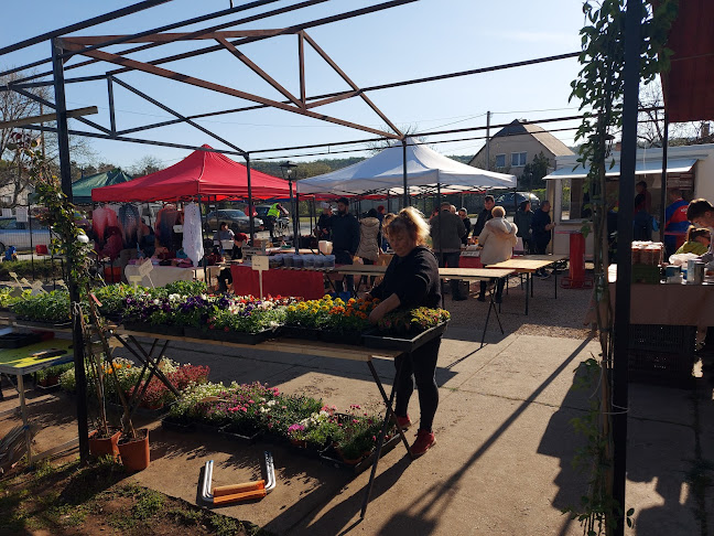 Almási termelői piac / Bátki kertészet / Bátki-kert kft