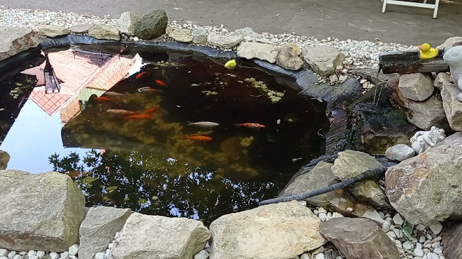 Kispesti Halásztanya Étterem - Vendéglátás