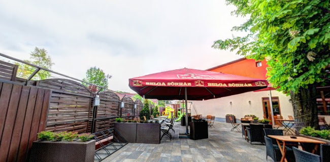 Belga Étterem & Bár - Vendéglátás