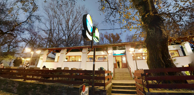 Opinii despre Hullámtér Vendéglő în Mártély - Vendéglátás