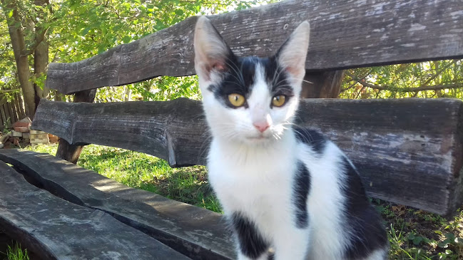 Jó Reggelt Reggeliző és Bisztró