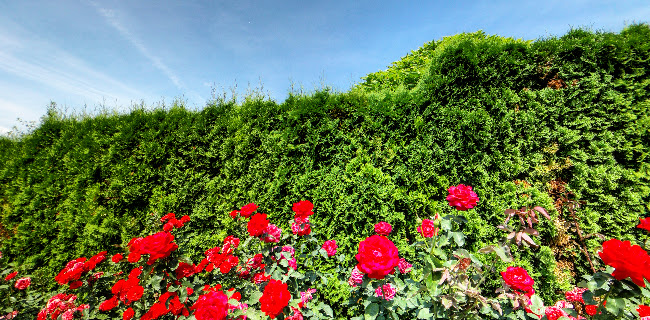 Szent Orbán Kisvendéglő - Vendéglátás