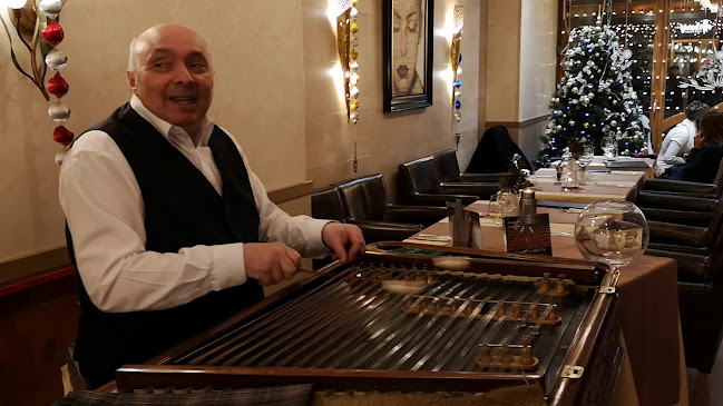 Opinii despre Sörforrás étterem în Budapest - Vendéglátás