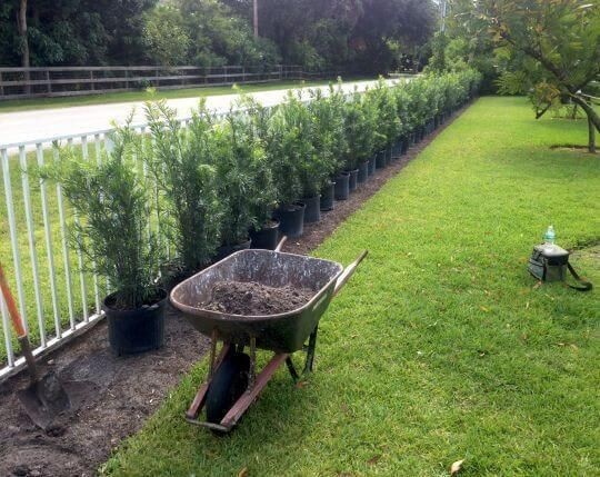 Opinii despre Almási termelői piac / Bátki kertészet / Bátki-kert kft în Dunaalmás - Vendéglátás