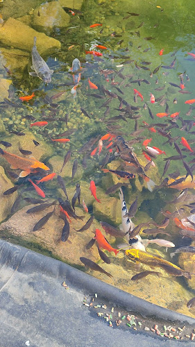 Tácsik Pékség-Cukrászda - Vendéglátás