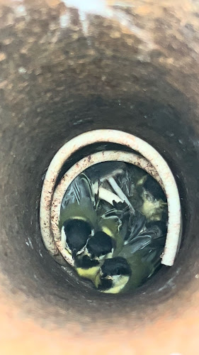 Aranyponty Zrt Halbolt - Rétimajor