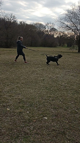 Meatology Budapest - Vendéglátás