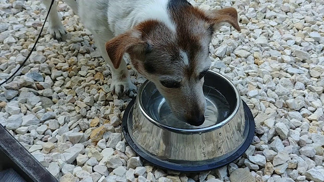 Comentarii opinii despre Most Bisztró