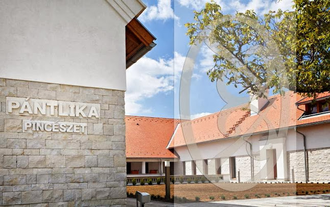 Comentarii opinii despre Pántlika Pincészet és Porta Étterem
