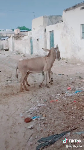Opinii despre Márkói Csárda în Márkó - Vendéglátás