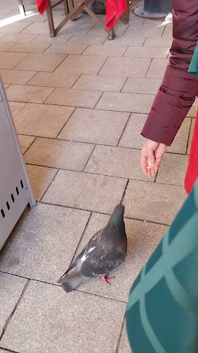 Comentarii opinii despre Európa Café