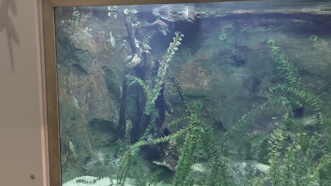 Udvarház Vendéglő - Hatvan