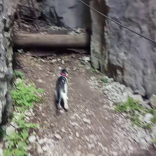 Hévíz, Szent András u. 2, 8380