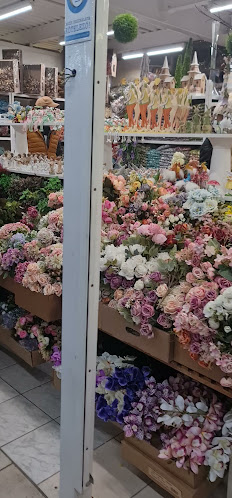 Opinii despre Budapesti Virágpiac - Nagykereskedelem în Budapest - Vendéglátás