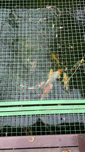 Murphy's Étterem - Vendéglátás