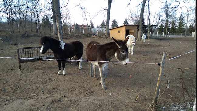 Tölgyes Csárda - Vendéglátás