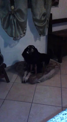 Opinii despre City Pub în Tiszaújváros - Vendéglátás