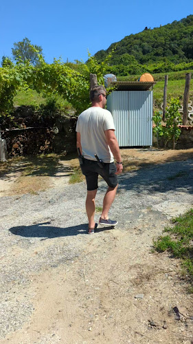 Inhauser Pincészet & Restaurant & Guesthouse - Somlószőlős