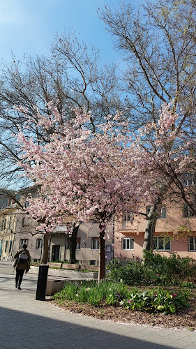 Opinii despre Varkocs Old Pub în Székesfehérvár - Vendéglátás