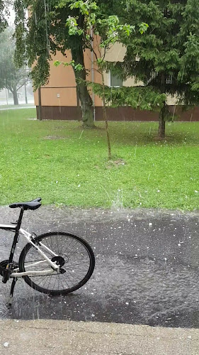 Opinii despre Rigó Vendéglő în Ajka - Vendéglátás