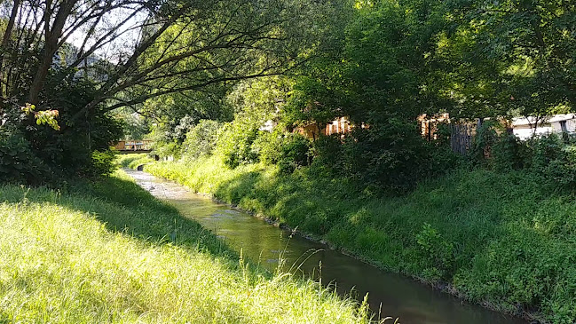 Makákó Kávégyár