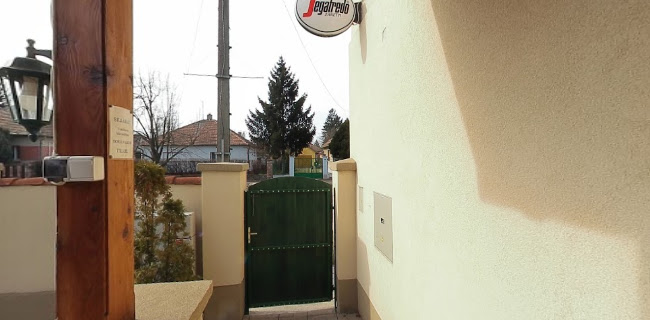 Gödöllő, Dózsa György út 64, 2100