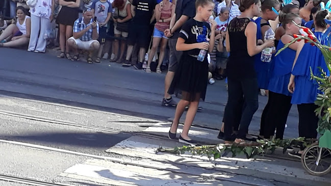 Comentarii opinii despre Belga Étterem és Söröző