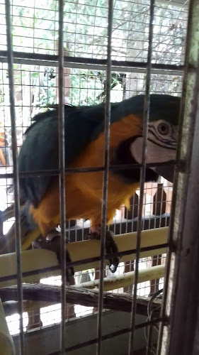 Opinii despre Árvay Csárda în Budapest - Vendéglátás