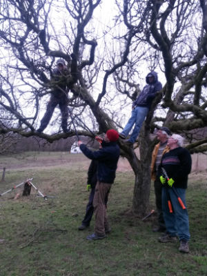 Budapest, Lázár u. 48, 1202