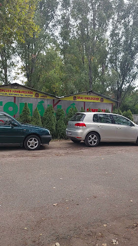 Kecskemét, Izsáki út 10, 6000