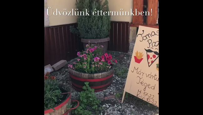 Opinii despre Tomasso Pizzéria în Zámoly - Vendéglátás